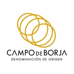 puerta-del-sol-campo-de-borja4