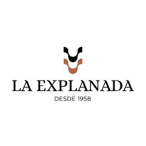 puerta-del-sol-la-explanada