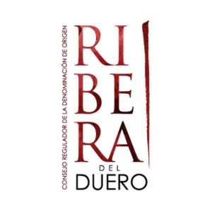 puerta-del-sol-ribera-del-duero