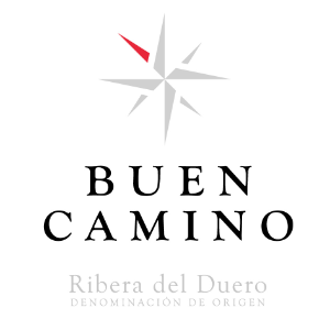 puerta-del-sol-buen-camino