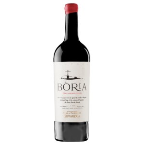puerta-del-sol-boria