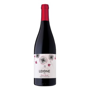 puerta-del-sol-leione