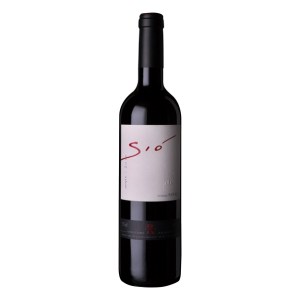 puerta-del-sol-ribas-sio-negre